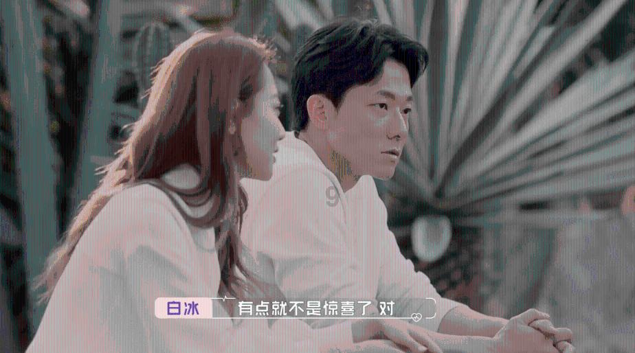 小狗救援行动选关版